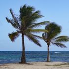 Strand auf Guadeloupe