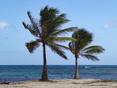 Strand auf Guadeloupe