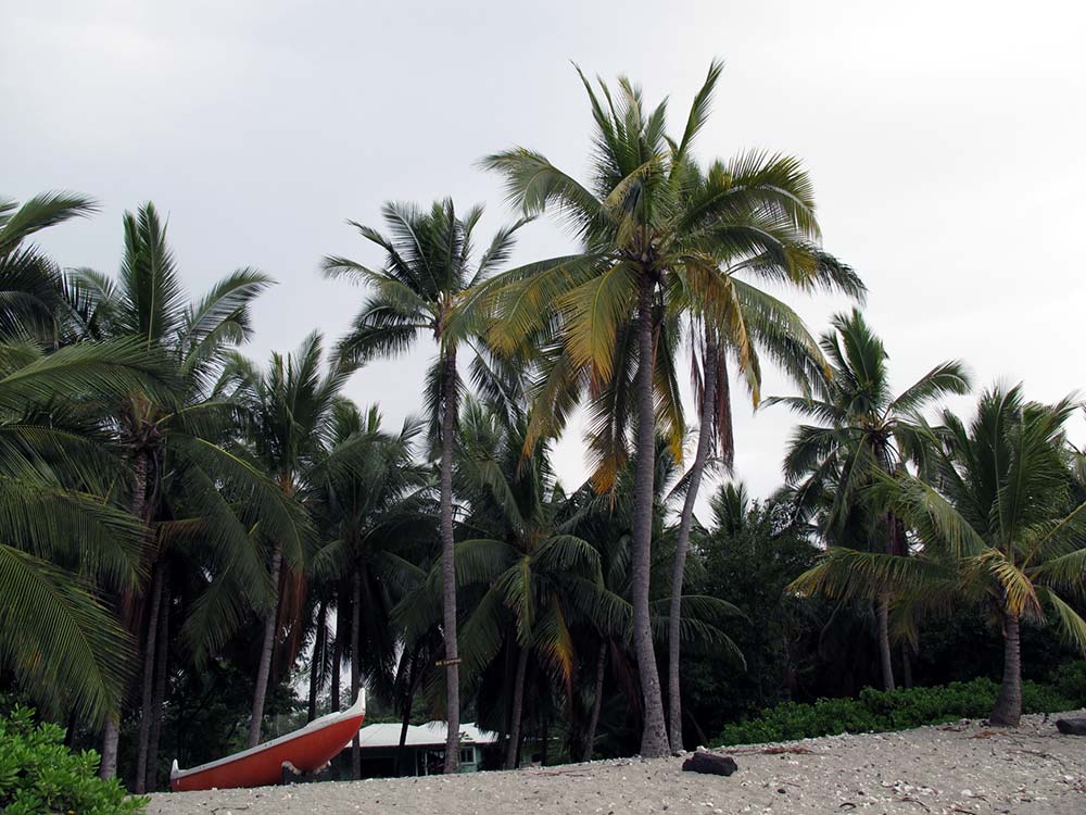 Strand auf Hawaii mit rotem Boot und Palmen