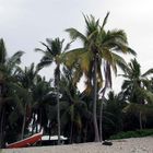 Strand auf Hawaii mit rotem Boot und Palmen