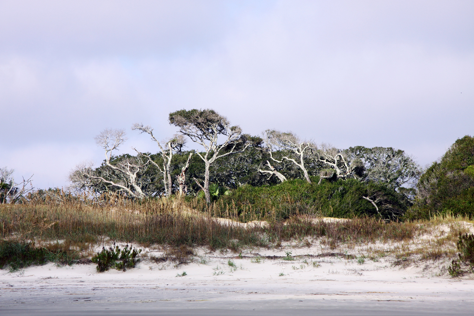 Strand auf Jekyll Island