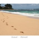 Strand auf Kauai