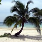 Strand auf Koh Samet