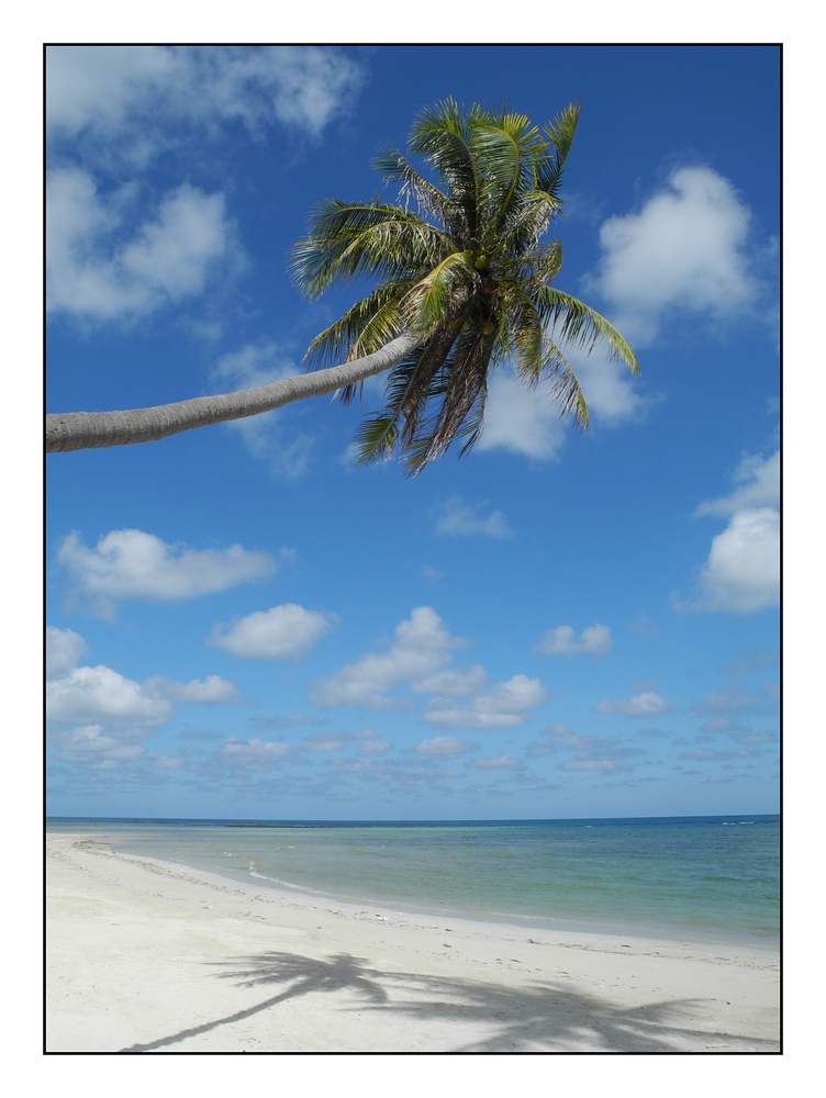 Strand auf Koh Samui