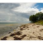 Strand auf Langeland