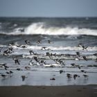 Strand auf Langeoog