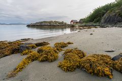 Strand auf Leka