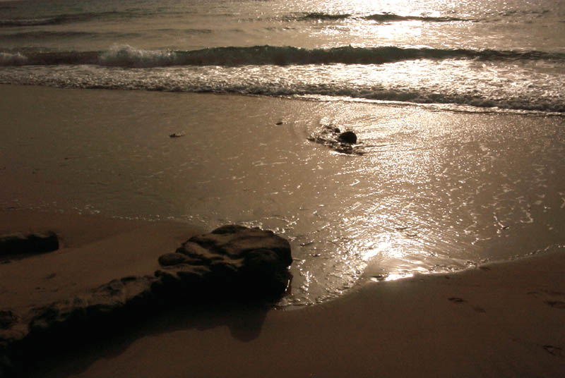 Strand auf Long Island