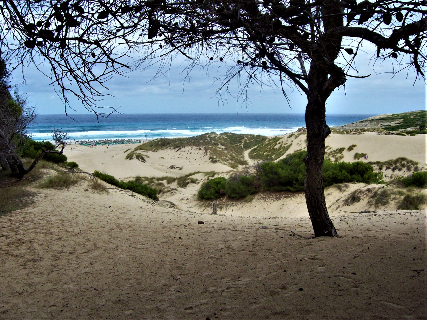  Strand auf Mallorca Cala Mesquita  