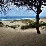  Strand auf Mallorca Cala Mesquita  