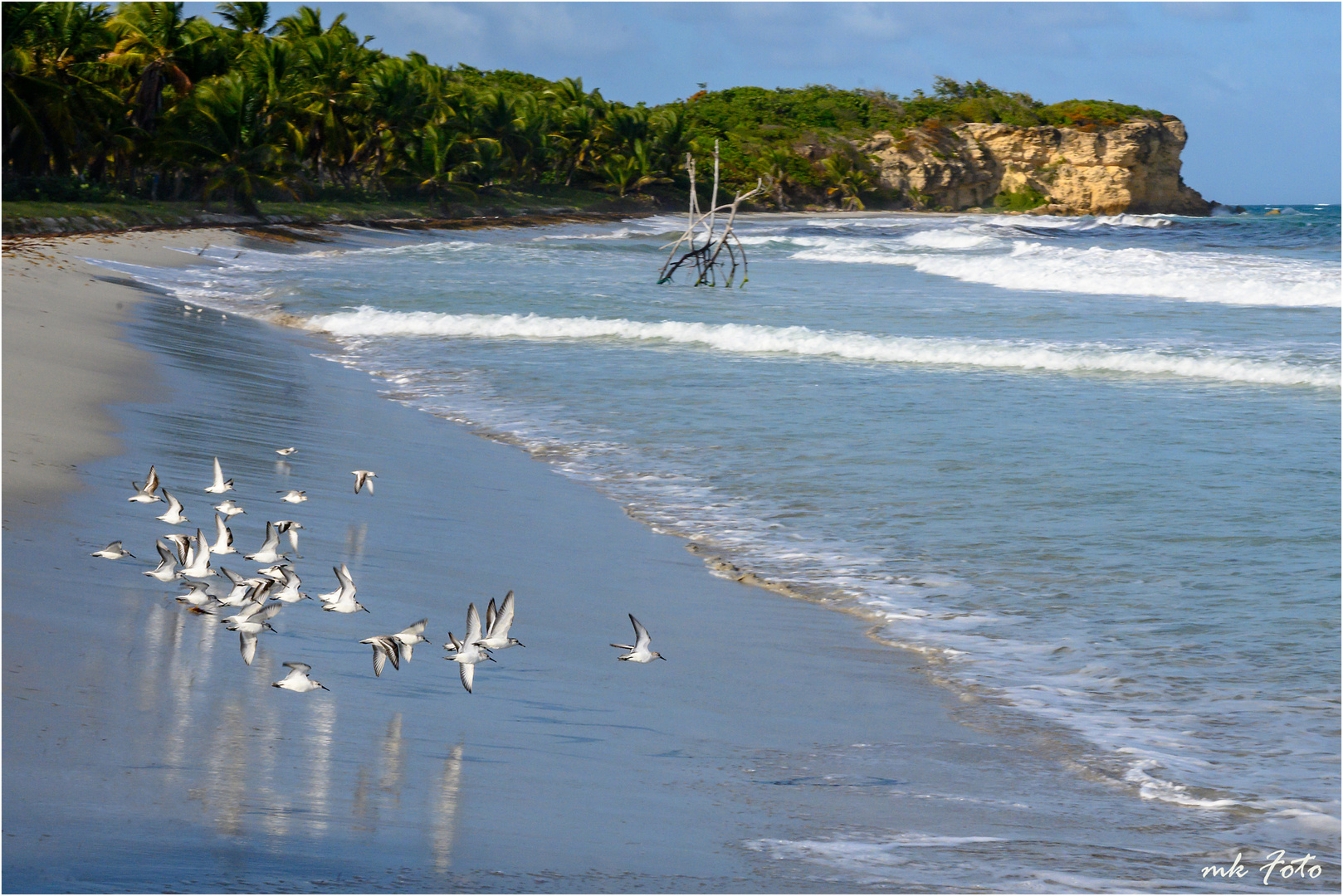 Strand auf Martinique