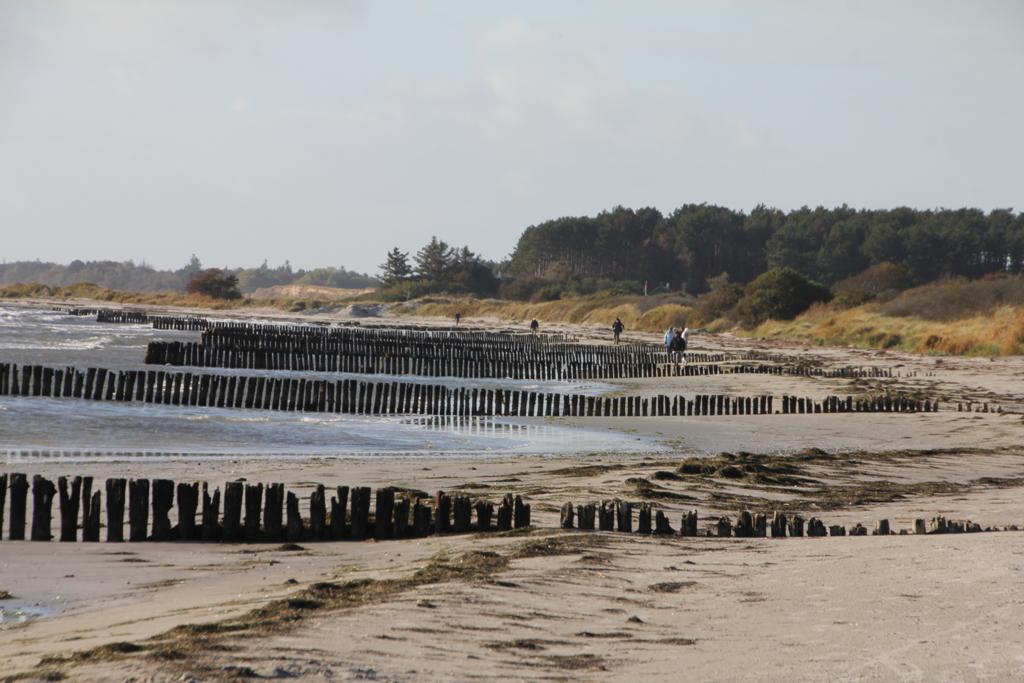 Strand auf Moen