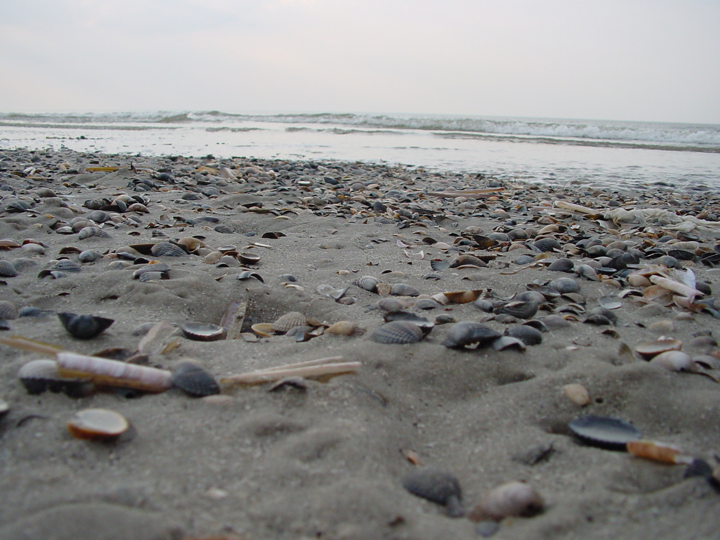 Strand auf Norderney