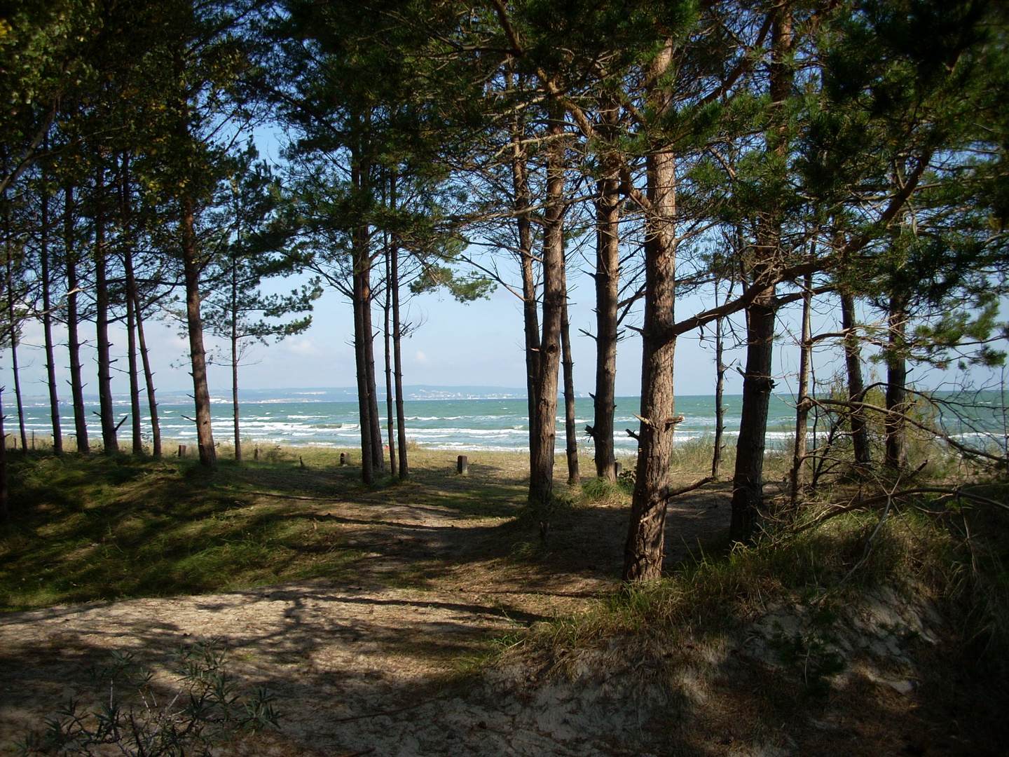 Strand auf Rügen