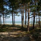 Strand auf Rügen