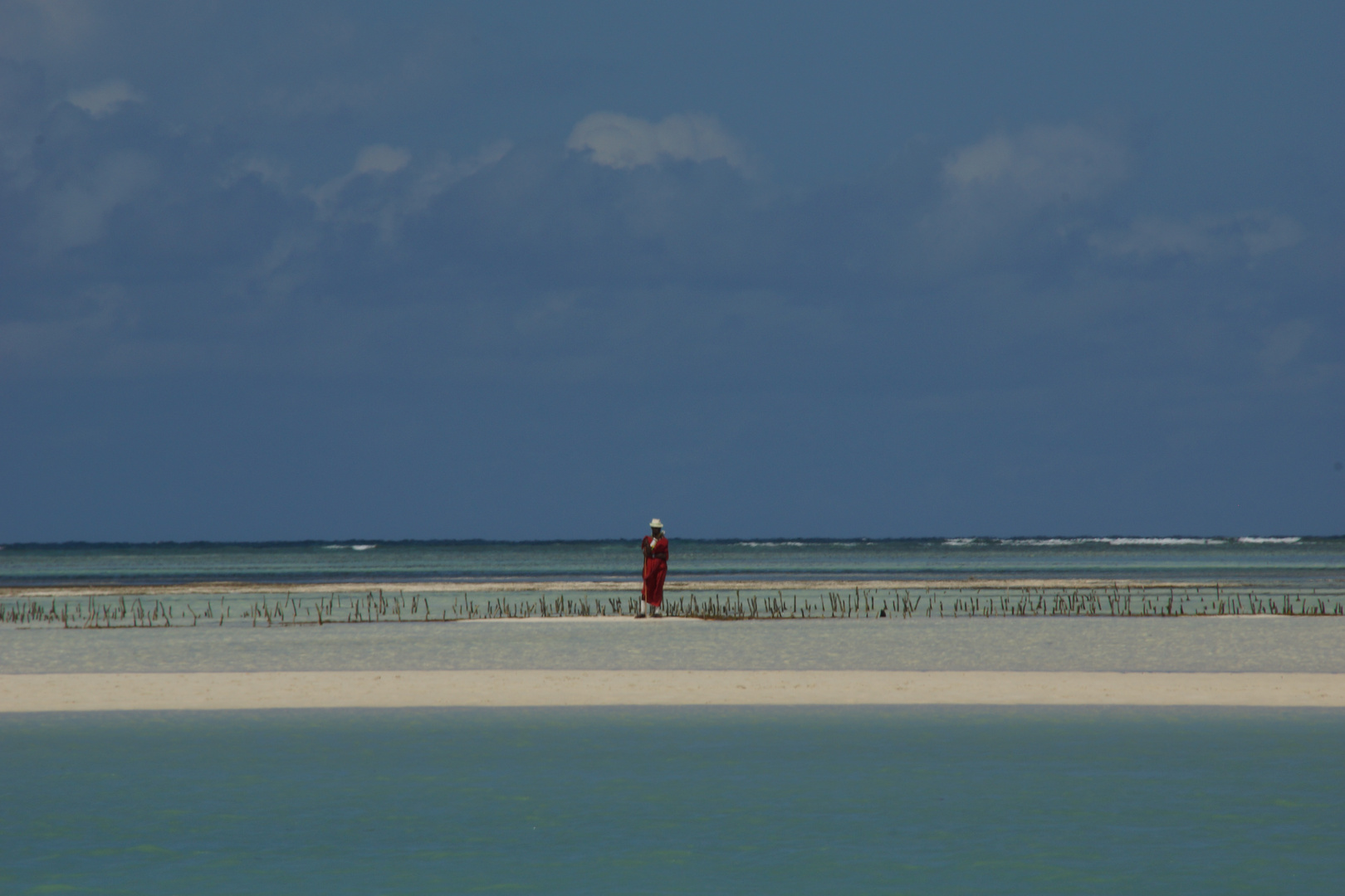 Strand auf Sansibar