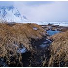 Strand auf Stokksnes I