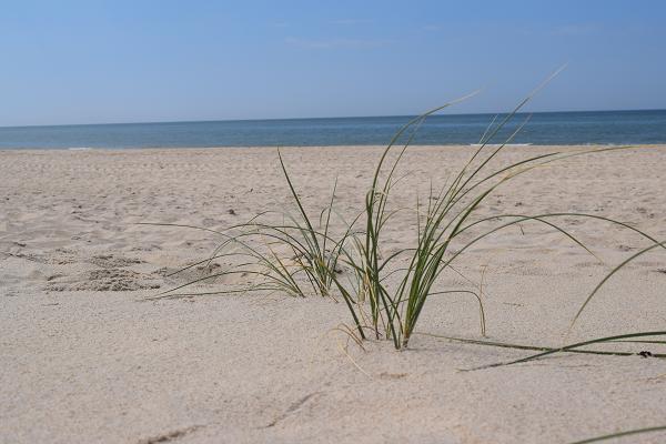 Strand auf Sylt