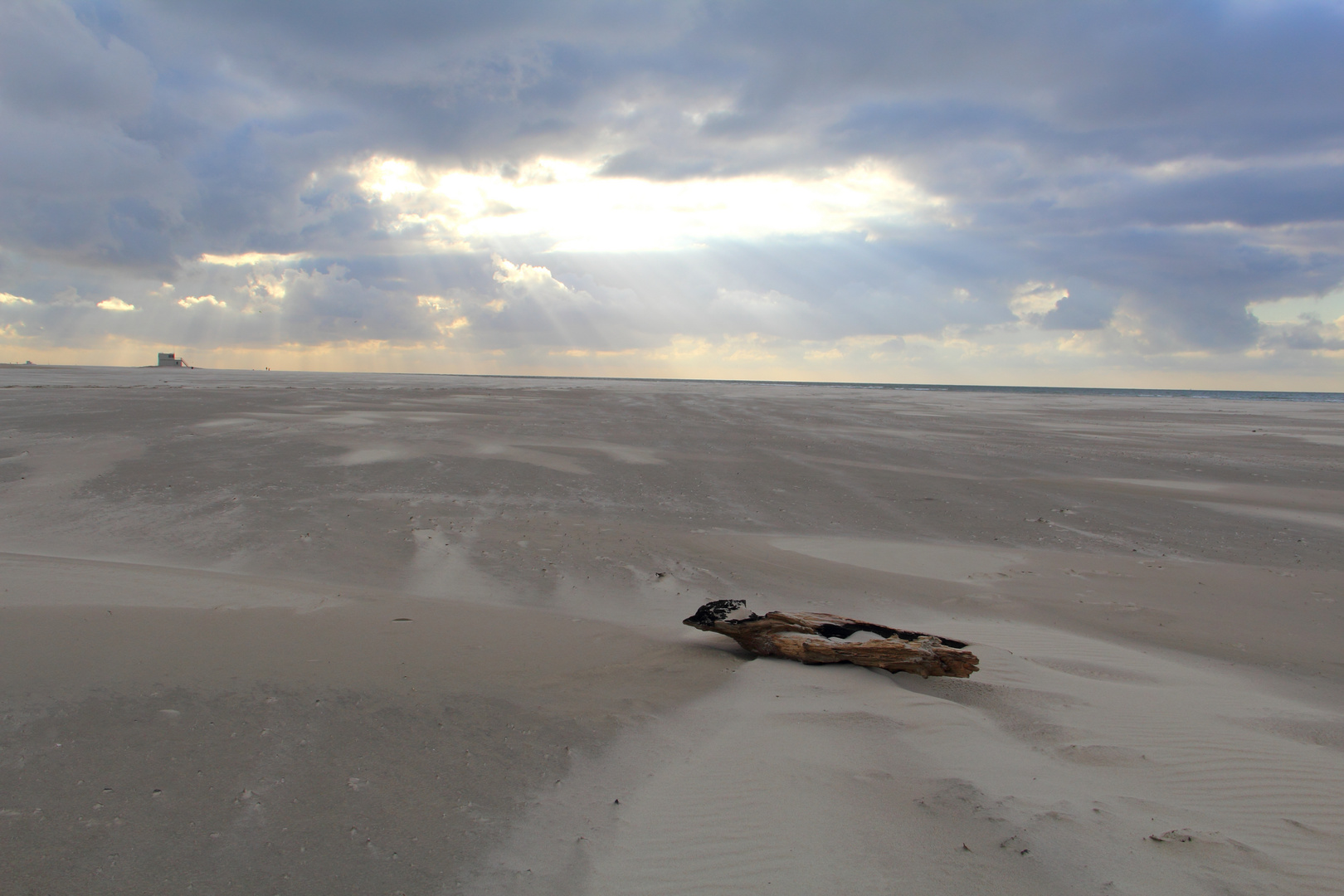 Strand auf Terschelling