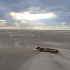 Strand auf Terschelling