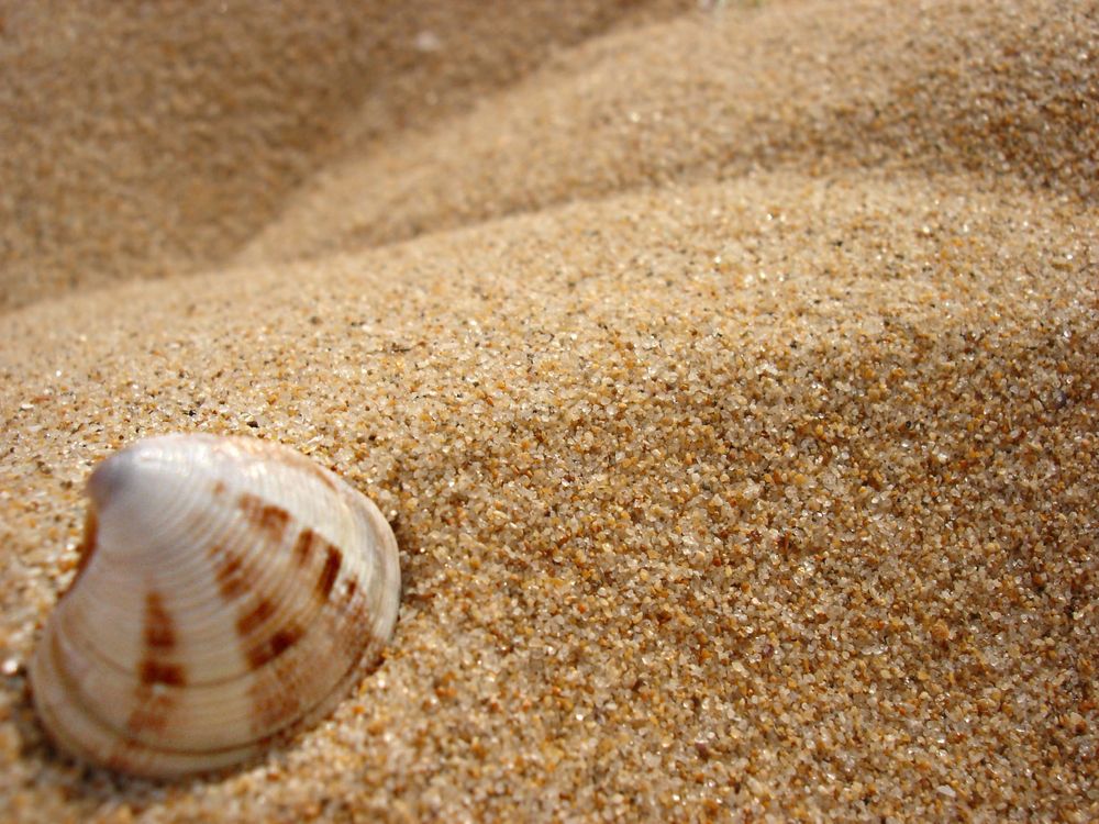 Strand aus Muschelsicht. von JuleK.