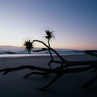 Strand Australien