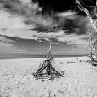 .... Strand bei Ahrenshoop