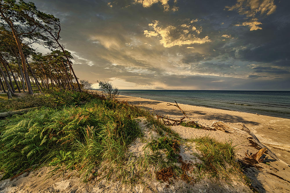 .... Strand bei Ahrenshoop