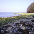 Strand bei Binz