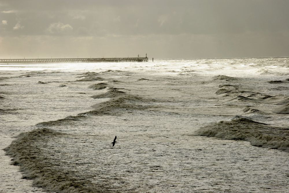 Strand bei Blankenberge (Belgien)