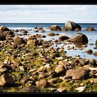 Strand bei Boltenhagen (Mecklenburg-Vorpommern)