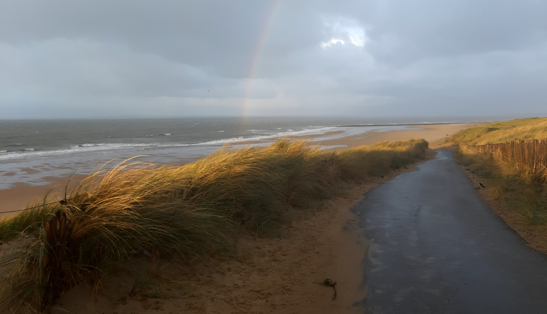 Strand bei Breskens