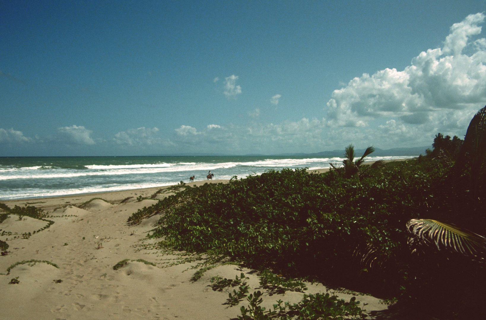 Strand bei Cabarete - 1992