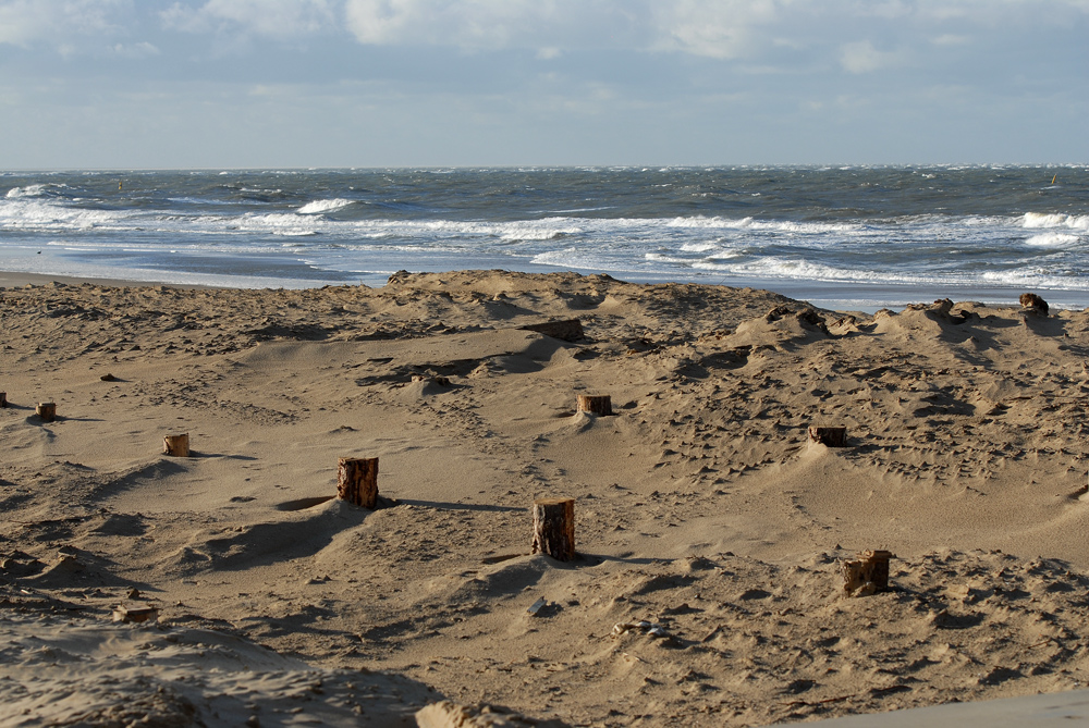 Strand bei Den Horn