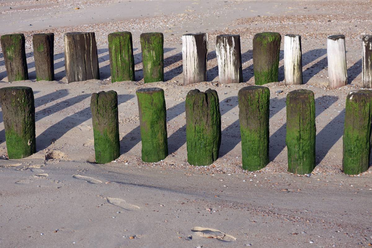 Strand bei Dishoek, Nederland