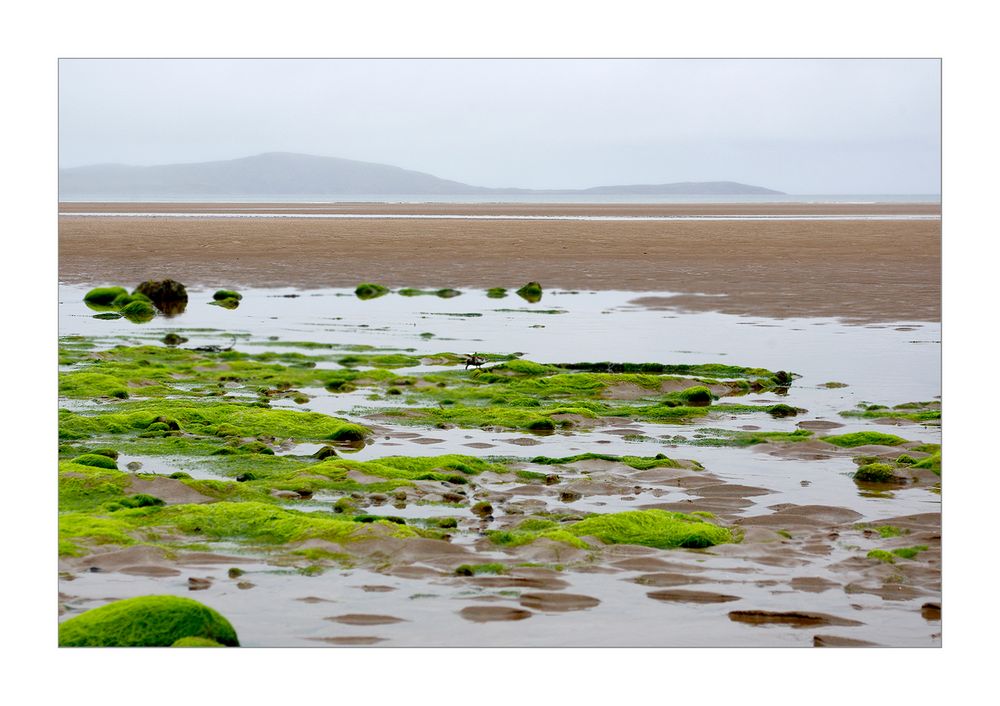 Strand bei Ebbe (2)