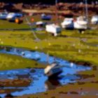 Strand bei Ebbe Nordbretagne