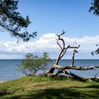 Strand bei Eldena