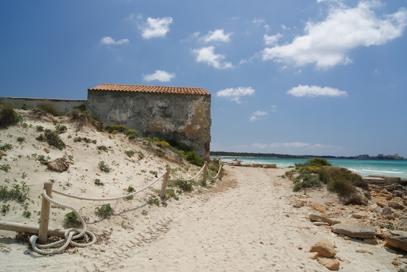 Strand bei Es Trenc