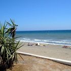 Strand bei Estepona