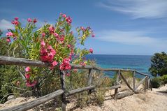 Strand bei Gala Gonone