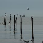 Strand bei Göhren