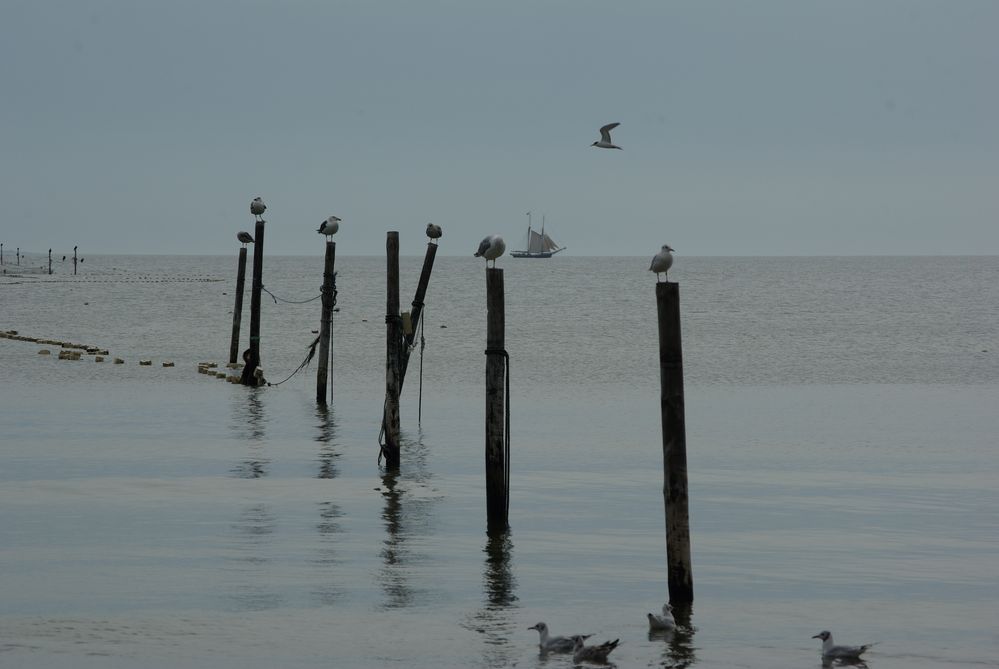 Strand bei Göhren