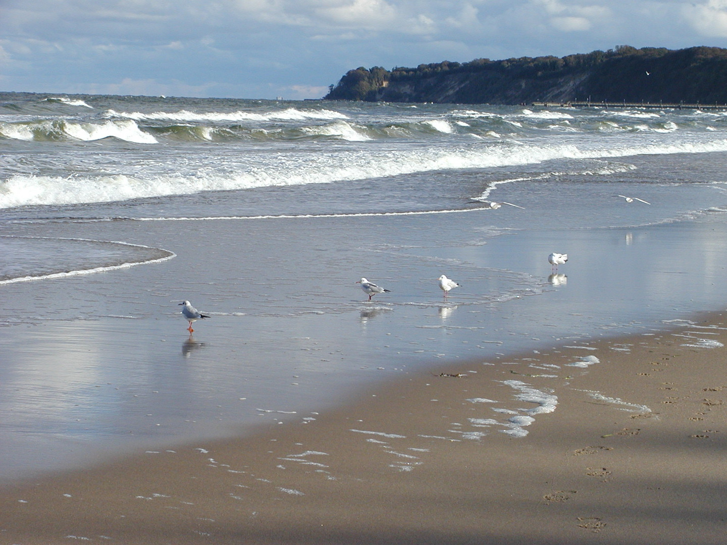 Strand bei Göhren/Rügen