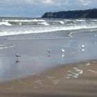 Strand bei Göhren/Rügen