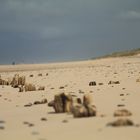 Strand bei Houvig