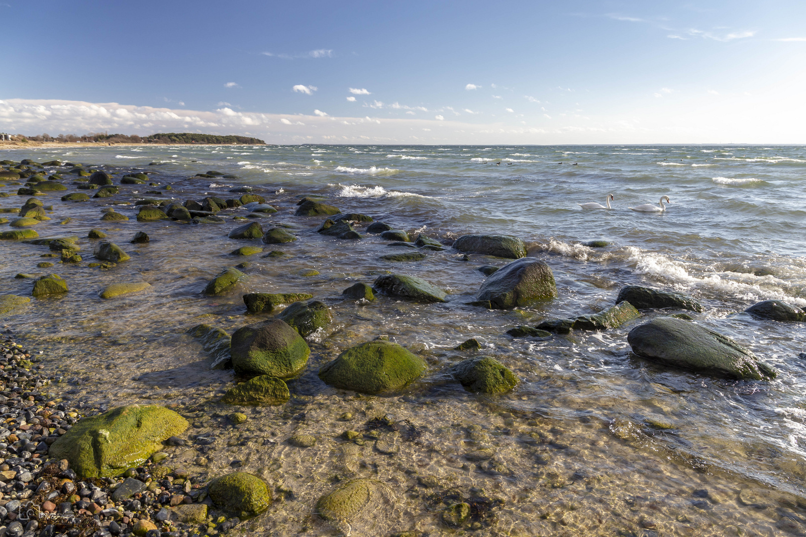 Strand bei Klein-Zicker