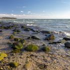 Strand bei Klein-Zicker