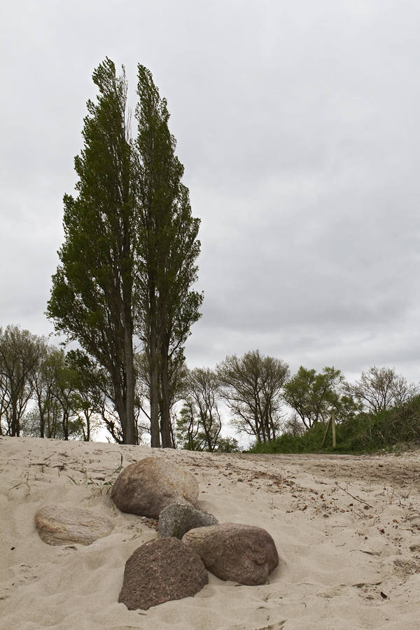 Strand bei Kühlungsborn