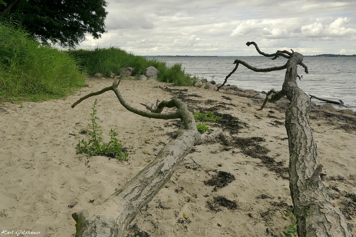 Strand bei Langballigholz